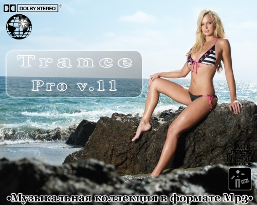 VA - Trance Pro V.11 (2012) MP3